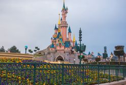 Disneyland zatrudnia. Dają prawie 8 tys. zł i zakwaterowanie
