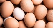 Białe czy brązowe? Tak wybierzesz najlepsze jajka
