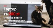 Czy warto kupić używanego Laptopa do gier za 500 złotych? Może lepiej wybrać nowego z Marketu?