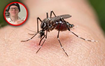 Włochy. 21-latka ukąsił komar. Gwałtowne powikłania doprowadziły do zgonu
