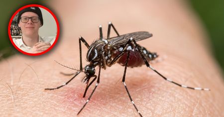 Włochy. 21-latka ukąsił komar. Gwałtowne powikłania doprowadziły do zgonu