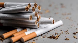 S19: Ściana z papierosów. 20 tys. paczek przechwycone przez służby