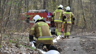 Zagrożenie pożarowe w lasach Lubelszczyzny. RCB ostrzega