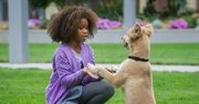 "Annie": Dziewczynka z Manhattanu [RECENZJA]