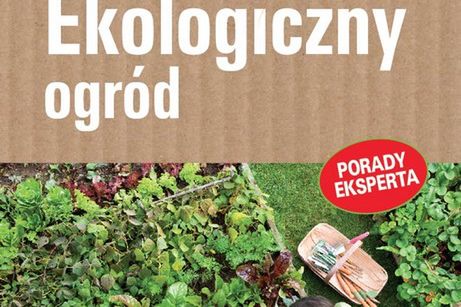 Przedstawienie czas zacząć!