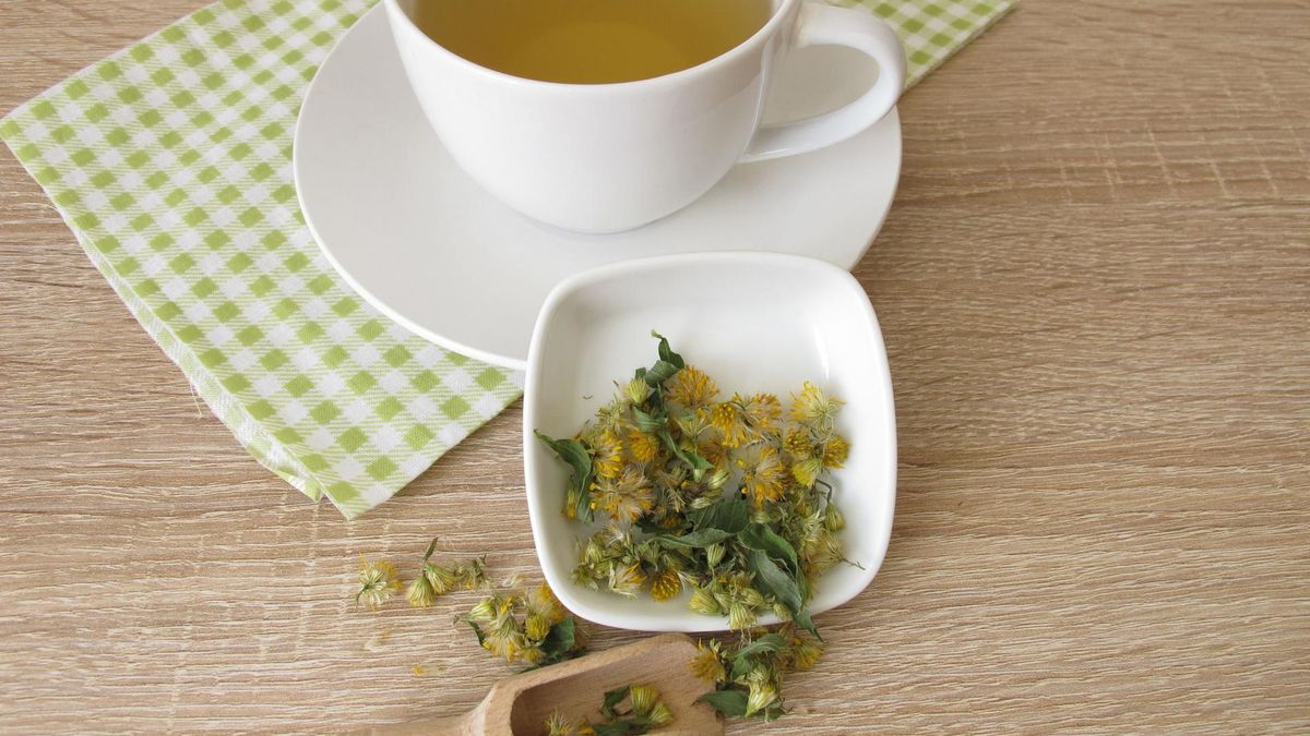 Nawłoć to powszechnie występująca roślina w Polsce o wielu właściwościach leczniczych.