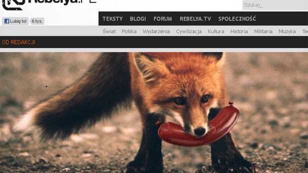 "Parówkowy falstart" czy mocny debiut? Jeszcze raz o naTemat 1