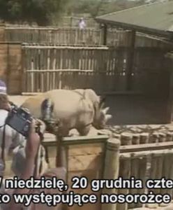 Z Czech do afrykańskiego zoo