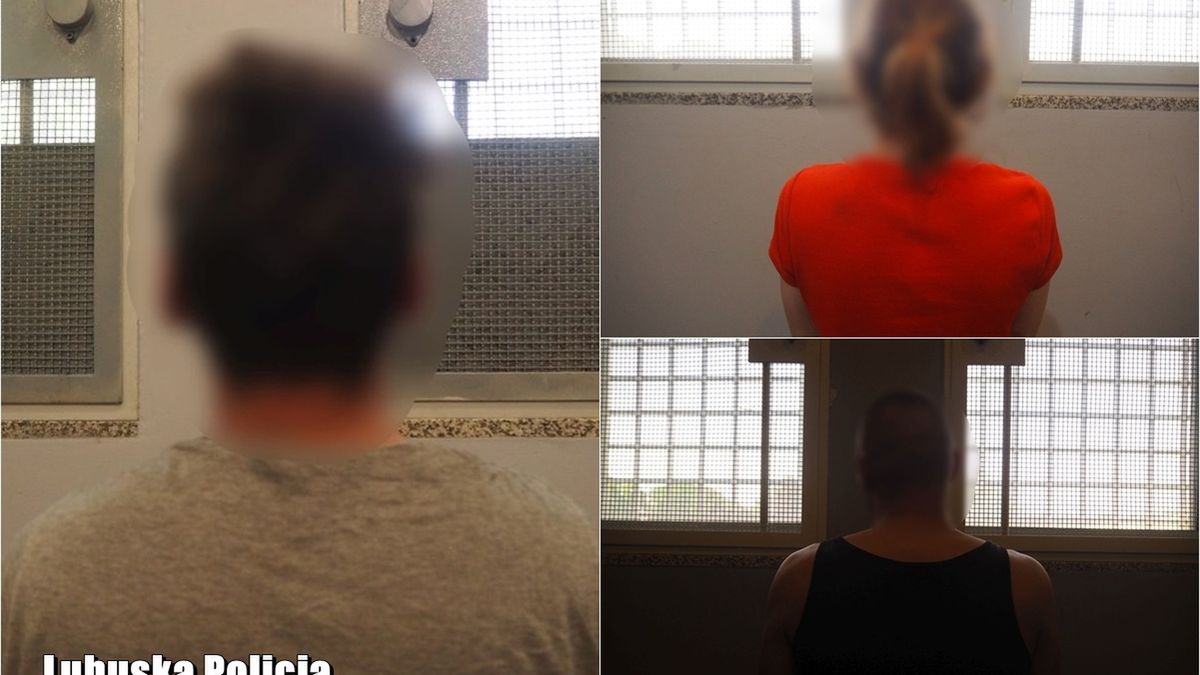 Podejrzanym grozi długa odsiadka