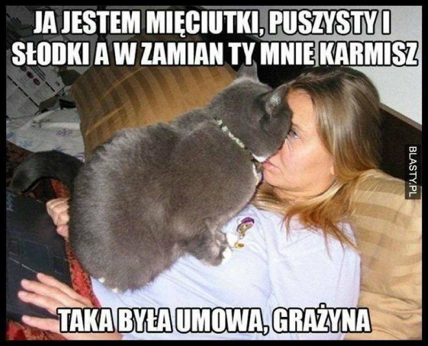 Dziś Dzień Kota. Oto memy z tej okazji 