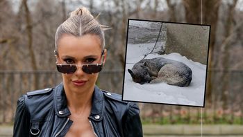 Mocny apel Dody ws. psów. "Takie rzeczy ciągle dzieją się wokół nas"