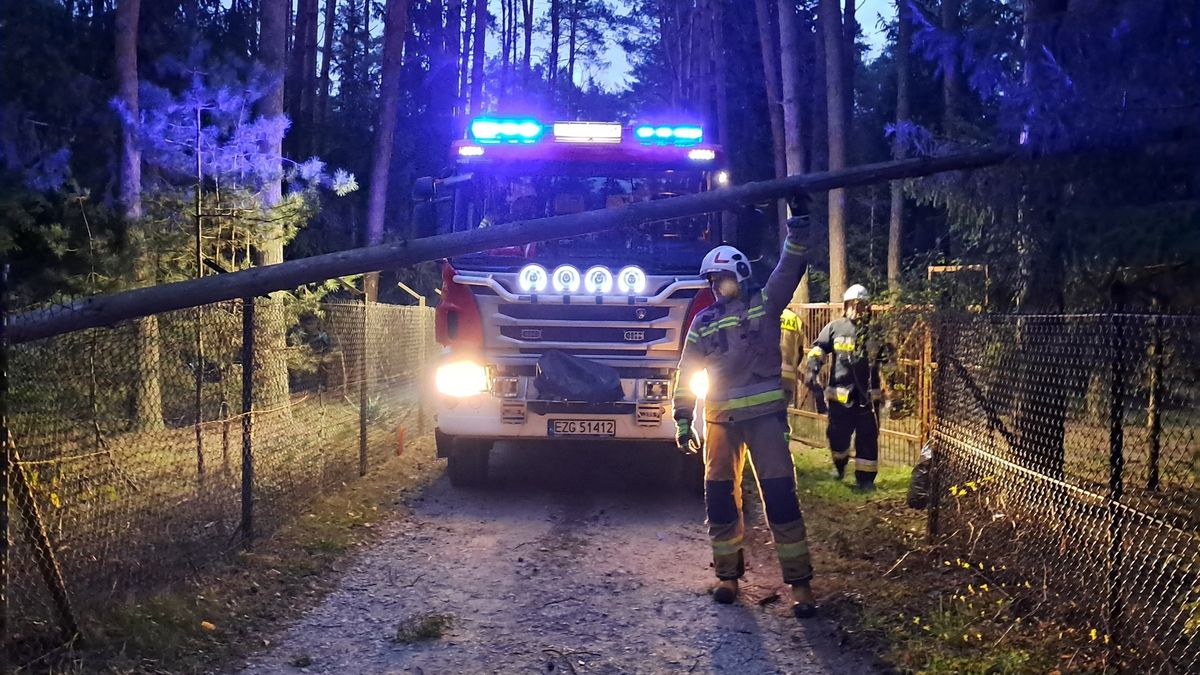 W całym kraju odnotowano przeszło 900 interwencji