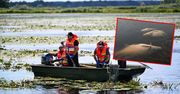 Ponad tona śniętych ryb i wypływają kolejne. "Tragiczny widok"