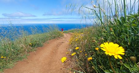 Farol da Ponta do Pargo na Maderze. Klify, ocean i jeden z najbardziej niedocenionych punktów widokowych wyspy