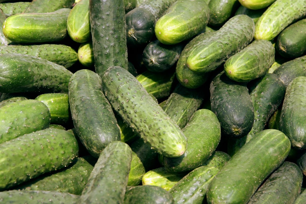 Cucumbers