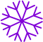 Snowflake icon