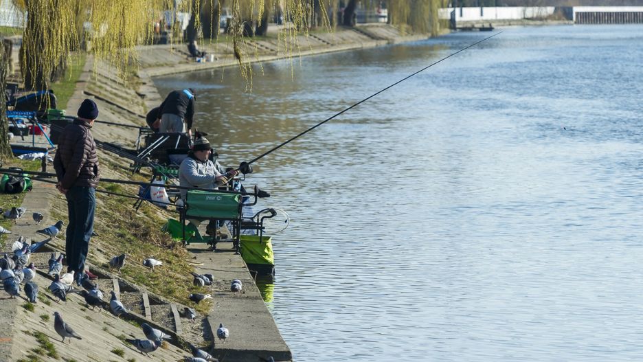 Ile kosztuje wędkowanie? 