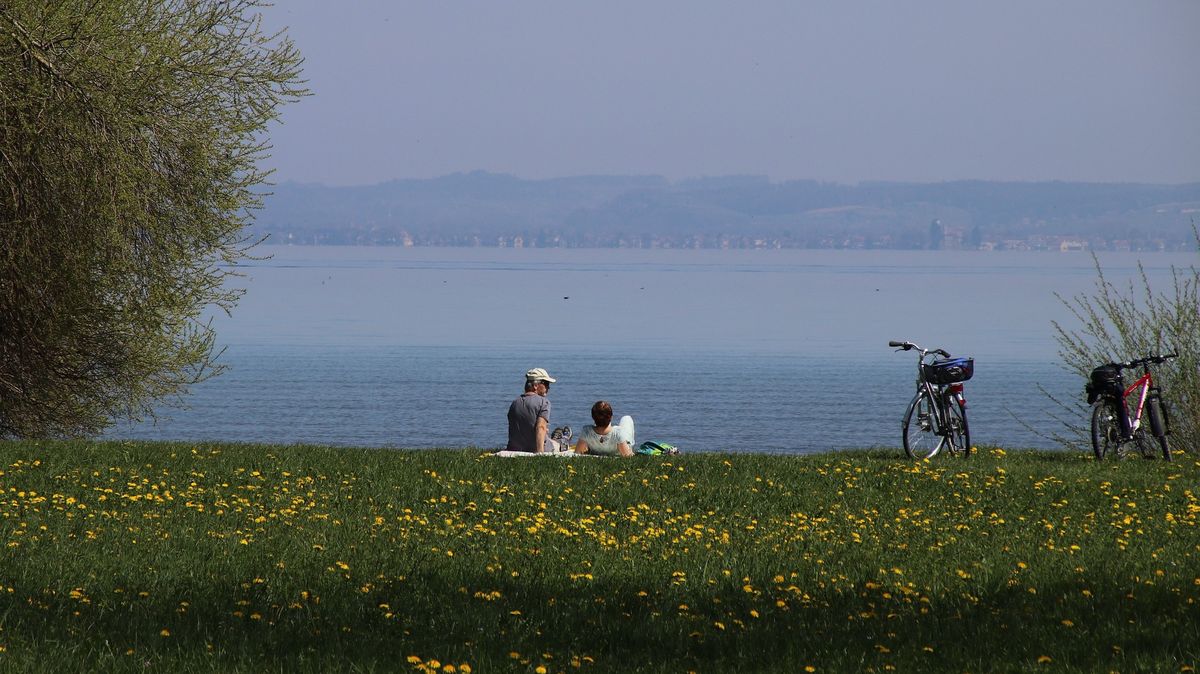 Pogoda. W środku tygodnia duży wzrost temperatury