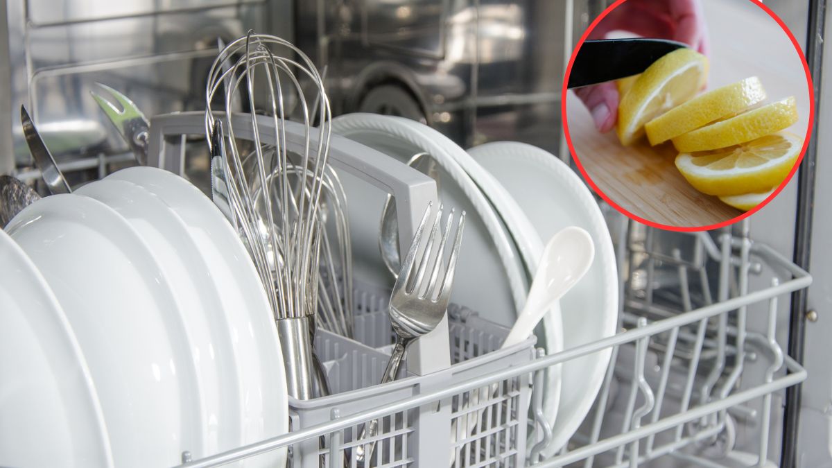 Cytryna w zmywarce? To ma sens!