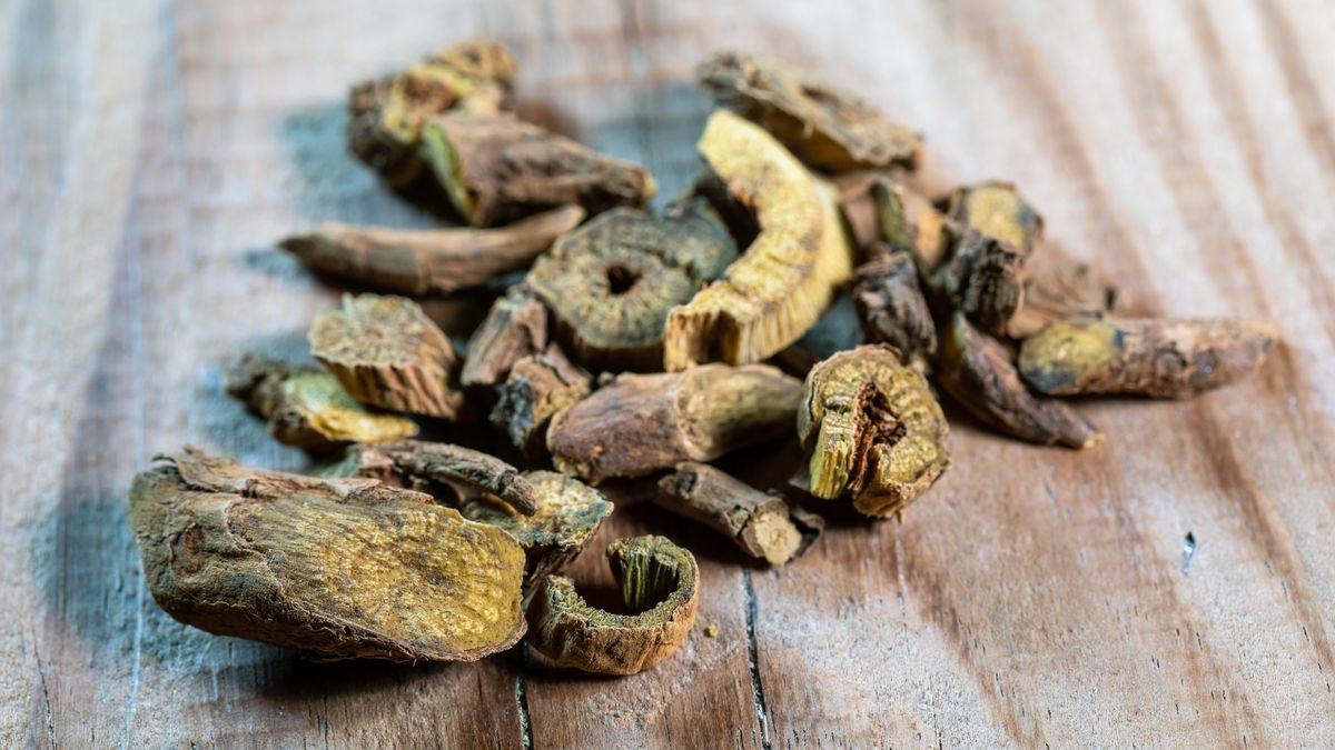 Jakie są właściwości tarczycy bajkalskiej?