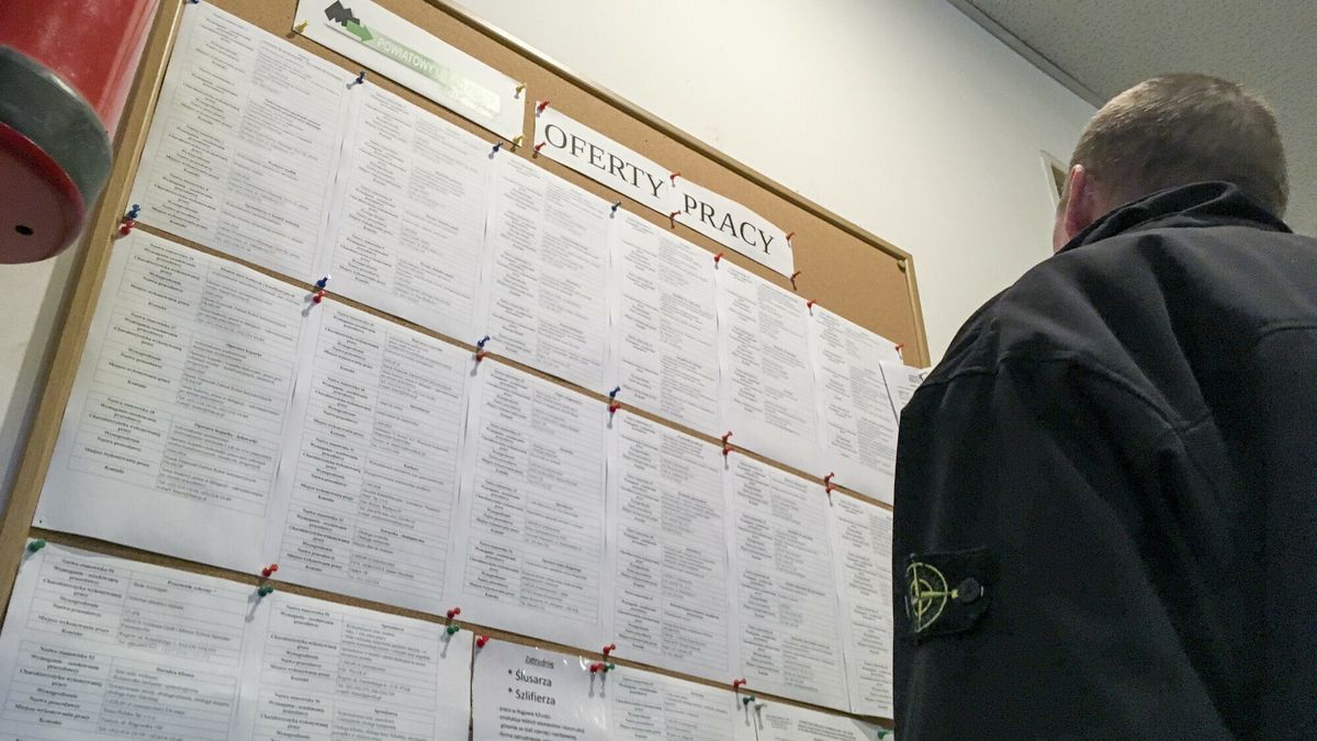 Reporter baza 2020-06-a
09.03.2018 Lodz. Urzad pracy. Fot. Piotr Kamionka/REPORTER
Piotr Kamionka/REPORTER