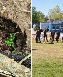 To miał być zwykły spacer. Niebezpieczne odkrycie w lesie