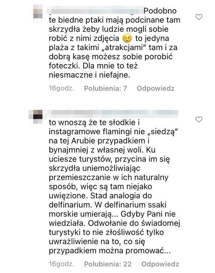 Anna Wendzikowska krytykowana za zdjęcia ze zniewolonymi flamingami