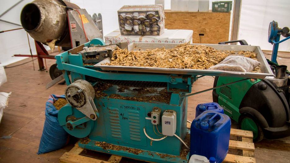 Nielegalna wytwórnia papierosów