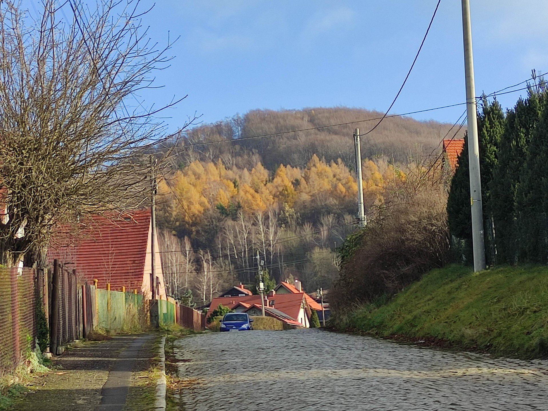 Niedźwiadki w Górach Wałbrzyskich