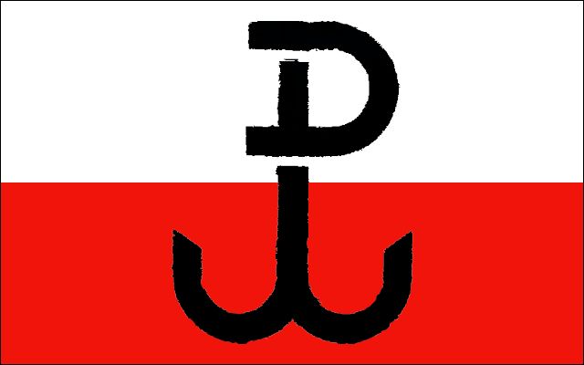 Polscy gracze przywłaszczyli “Polskę Walczącą”. Kim wy jesteście, żeby z tego symbolu korzystać?! 4