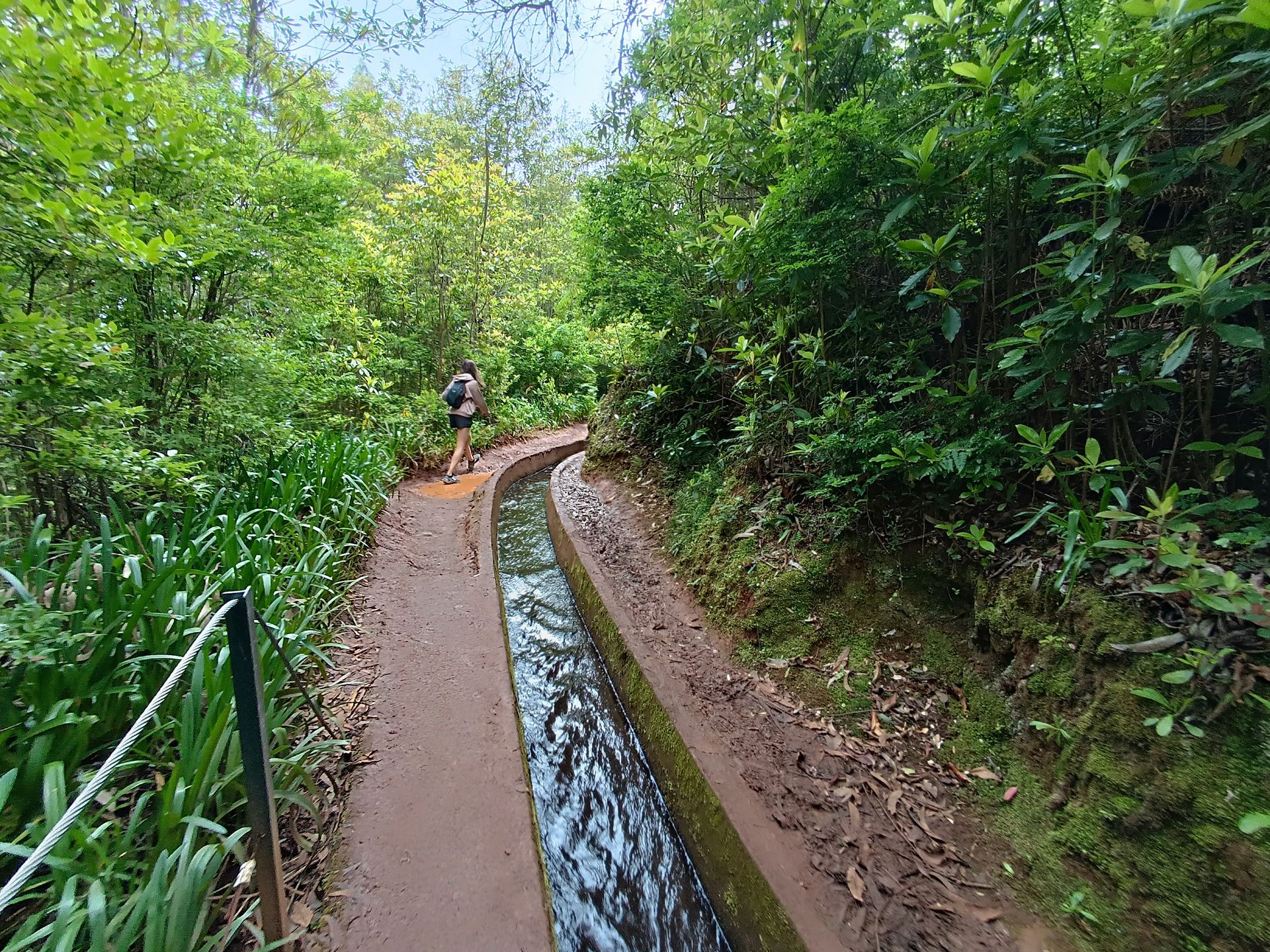 PR 18 Levada do Rei