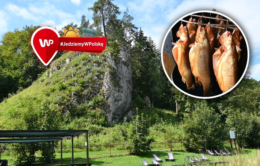 Mówili im, że bez frytek padną po miesiącu. Dziś ich pstrągi w Ojcowie przyciągają tłumy