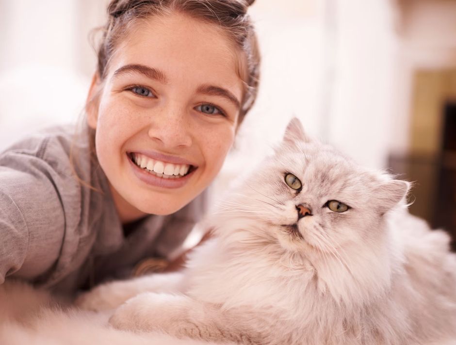 Koci Mrraj – WHISKAS® z wyjątkową odsłoną globalnej kampanii w Polsce