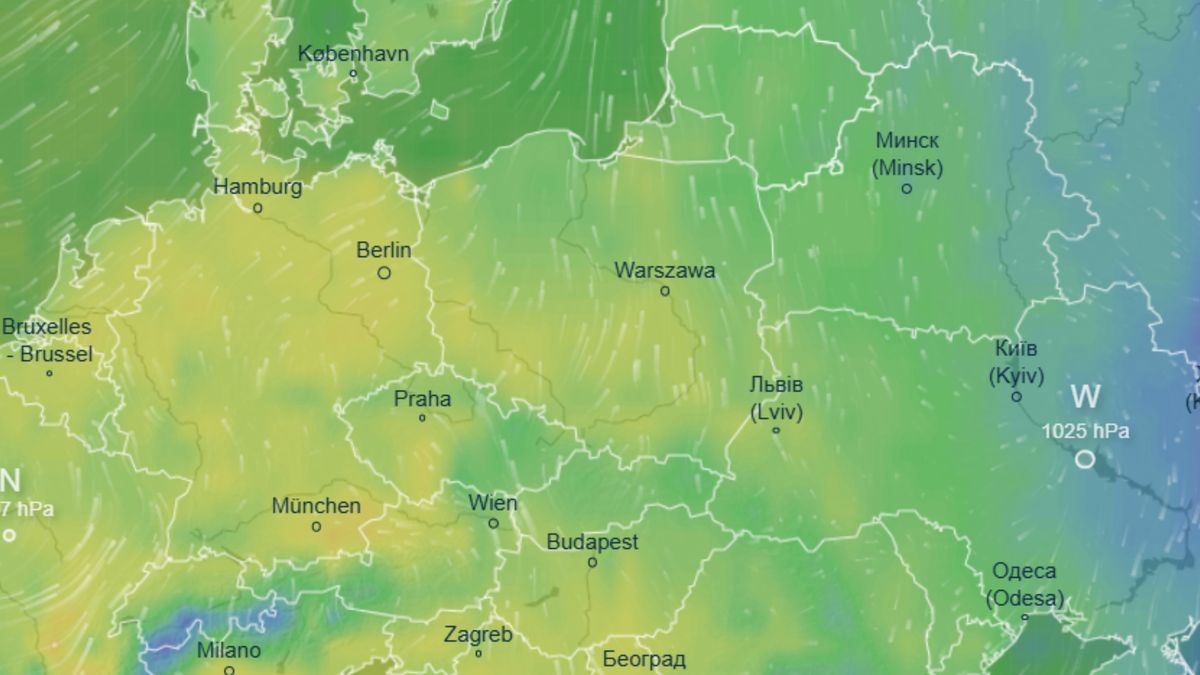 Jest najnowsza prognoza pogody na wtorek (25 lutego).