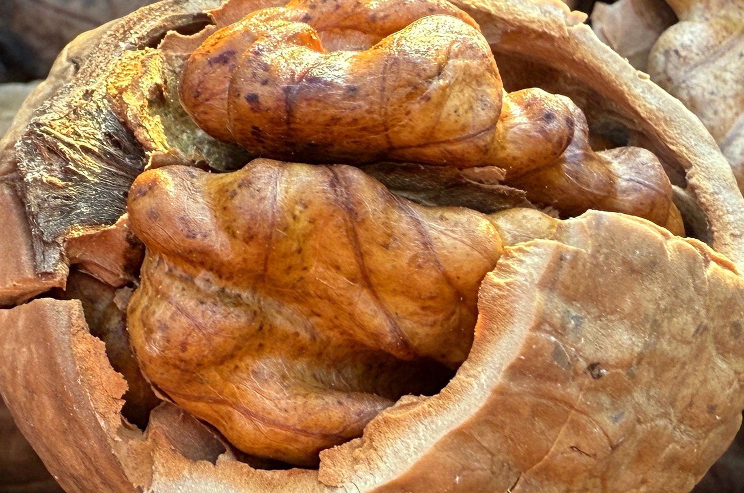 Jedz garść dziennie. Wzmocnisz serce, a mózg będzie działał jak komputer