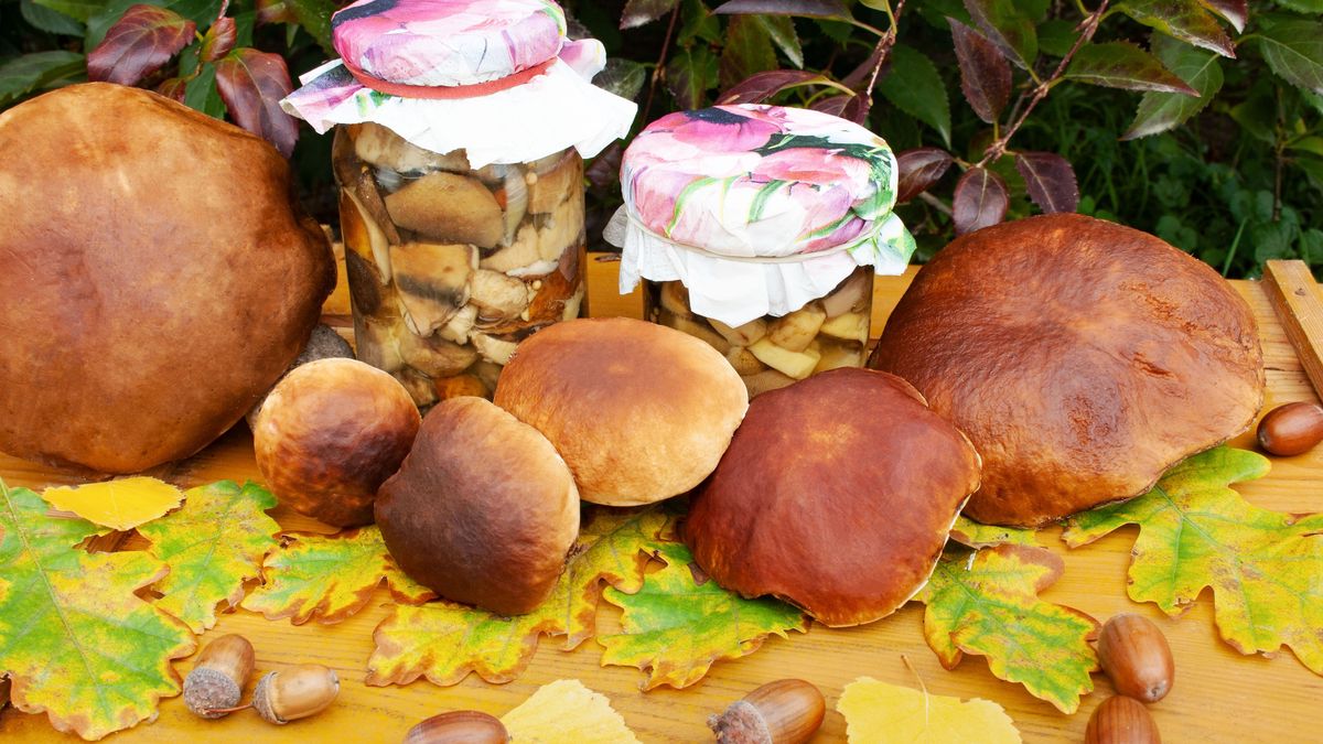 Marynowane grzyby według przepisu babci