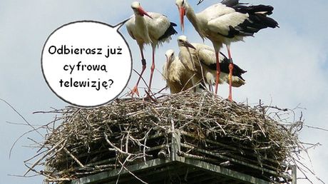 Polska 2013 – cyfrowy raj 1