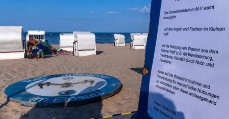 Złote algi. Złe wieści znad Odry. PiS nie znajdzie winnego?