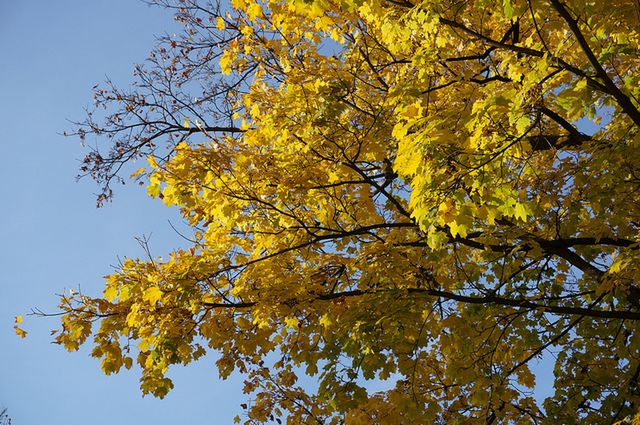 Sony NEX-6 - pierwsze zdjęcia [galeria] 11