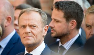 Donald Tusk wraca do PO? "Zastanawia się nad pełnoetatową pomocą"