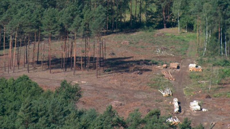 Zdjęcie ilustracyjne.