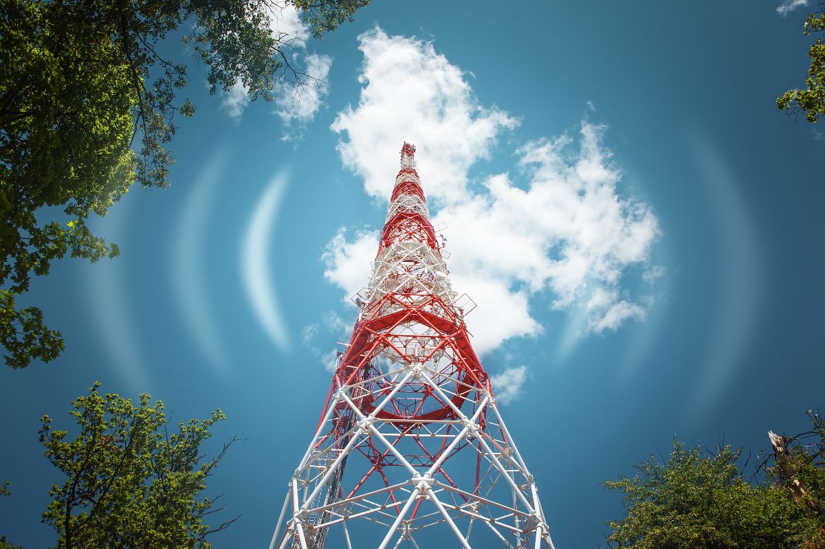 MeerKAT discovers a mysterious radio ring near the Milky Way's center