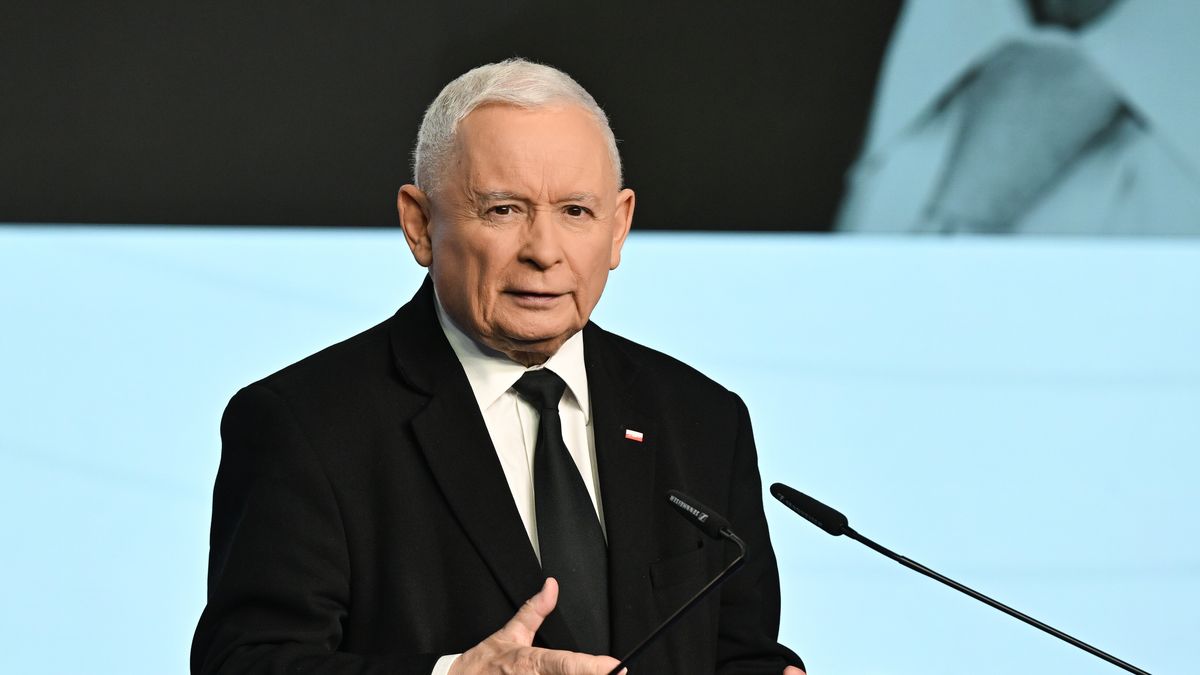 Jaros�aw Kaczy�ski
Radek Pietruszka
konferencja prasowa, konferncja konferencji, Nowogrodzka, PiS, polityk polityka, prasowa prasowej