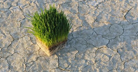 Jak zapobiec katastrofie klimatu? Fundusze Europejskie wspierają zrównoważony rozwój