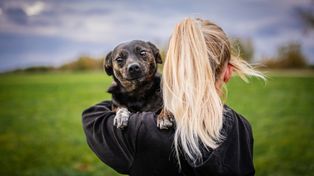 Kutno: Zrelaksuj się i pomóż zwierzętom. Charytatywna joga w gminie