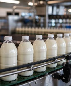 Kłopoty dużej spółdzielni mleczarskiej. Producent zabiera głos