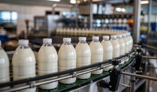 Kłopoty dużej spółdzielni mleczarskiej. Producent zabiera głos