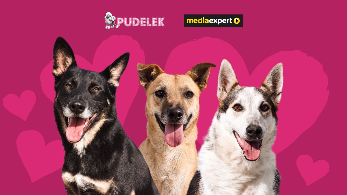 Wygraj kartę podarunkową od Media Expert