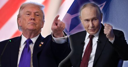 Trump a Grenlandia. Ekspertka o zapowiedzi: To oznaczałoby koniec NATO