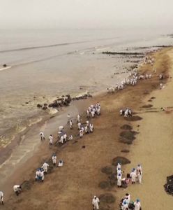 Katastrofa ekologiczna u wybrzeży Peru. Dramatyczne nagranie z plaży